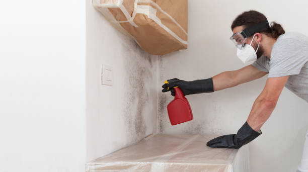 Professional Bathroom Mold Removal technician working in Welcome, NC